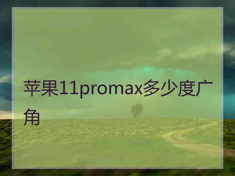 苹果11promax多少度广角