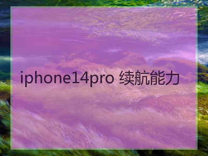 iphone14pro 续航能力