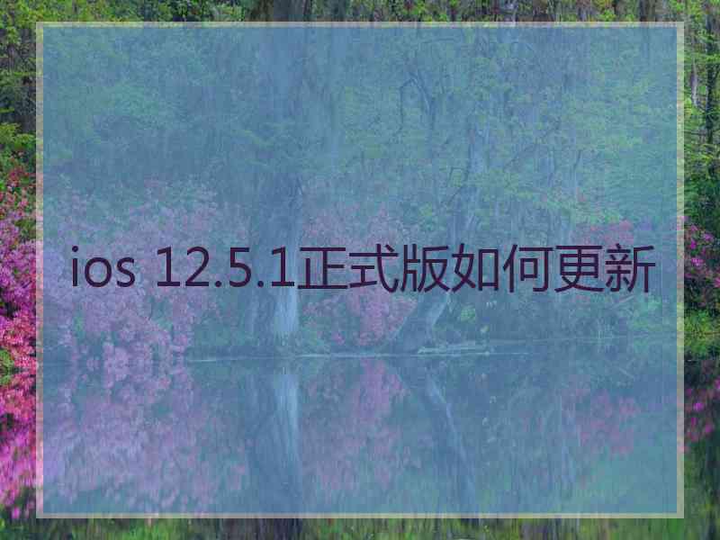 ios 12.5.1正式版如何更新