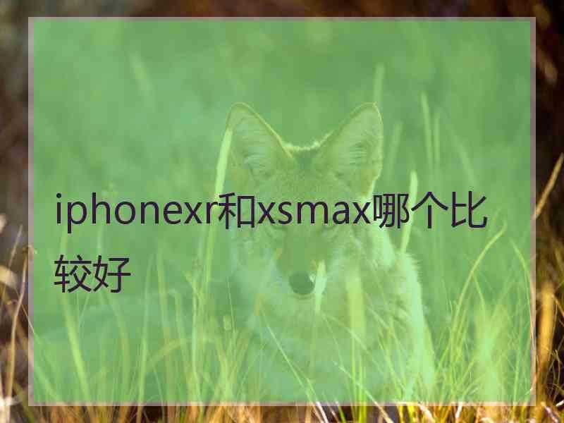 iphonexr和xsmax哪个比较好