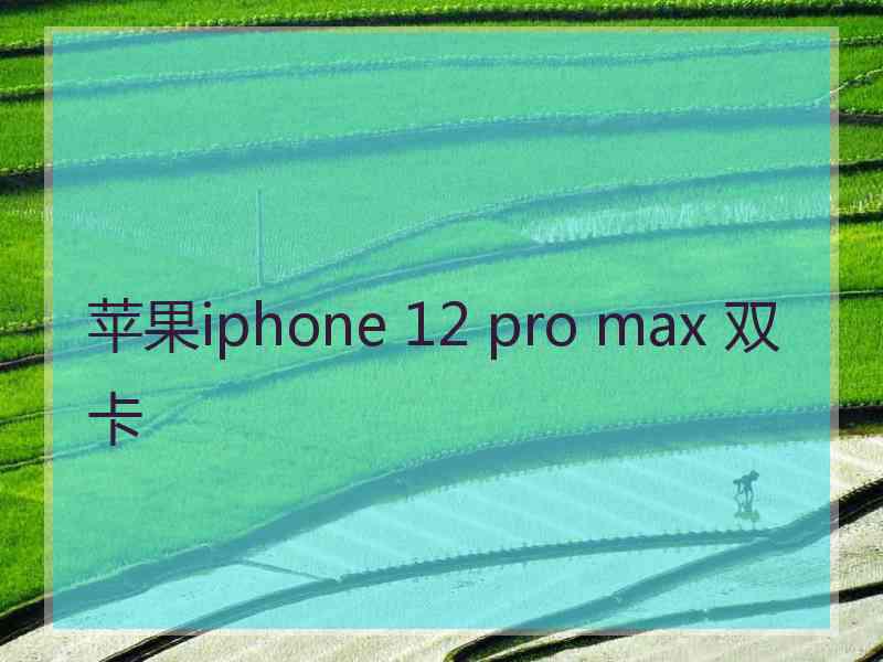 苹果iphone 12 pro max 双卡