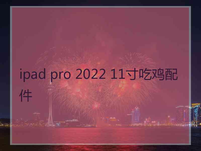 ipad pro 2022 11寸吃鸡配件