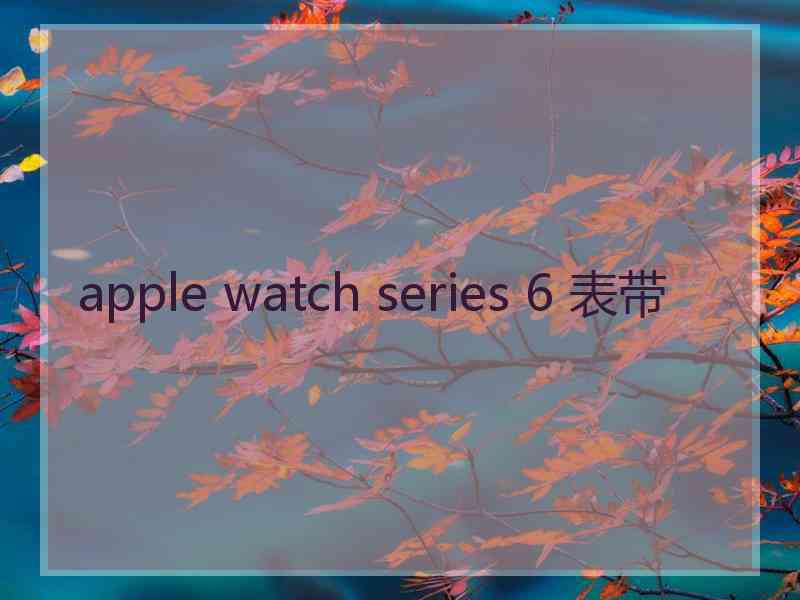 apple watch series 6 表带