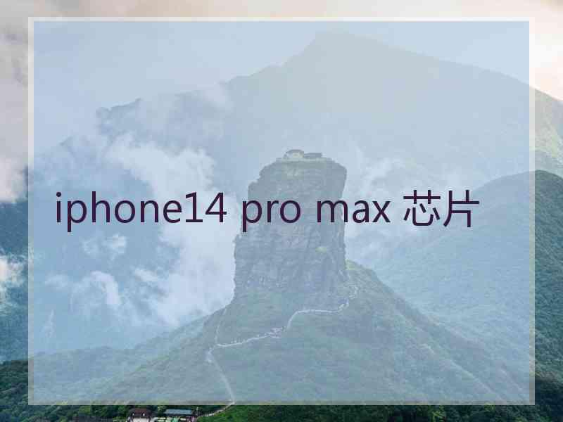 iphone14 pro max 芯片