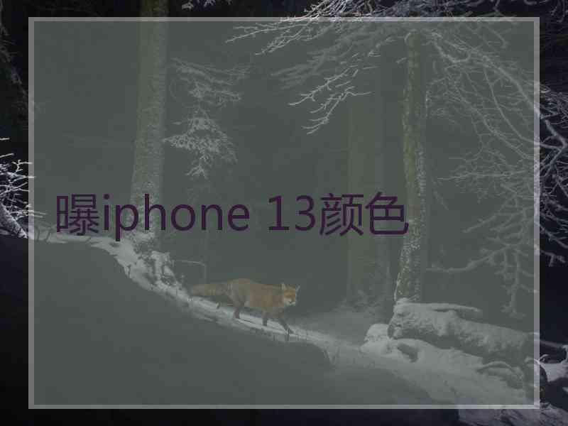 曝iphone 13颜色