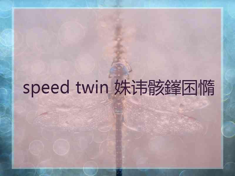 speed twin 姝讳骸鎽囨憜