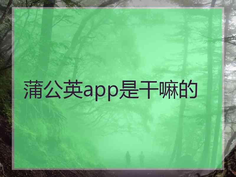 蒲公英app是干嘛的