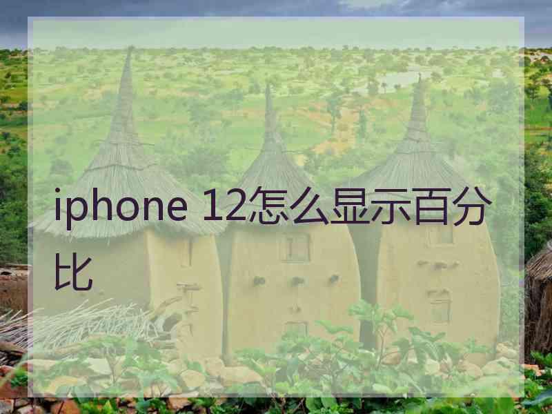 iphone 12怎么显示百分比