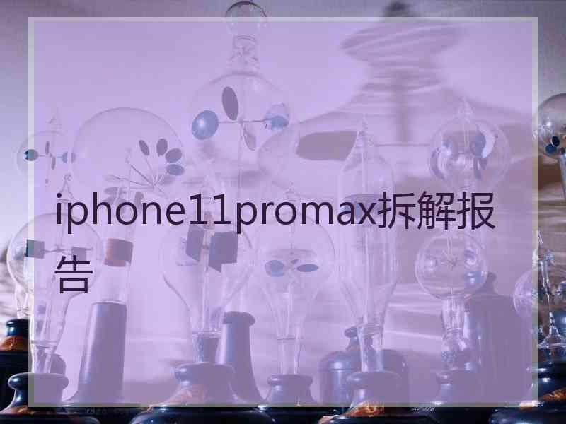 iphone11promax拆解报告