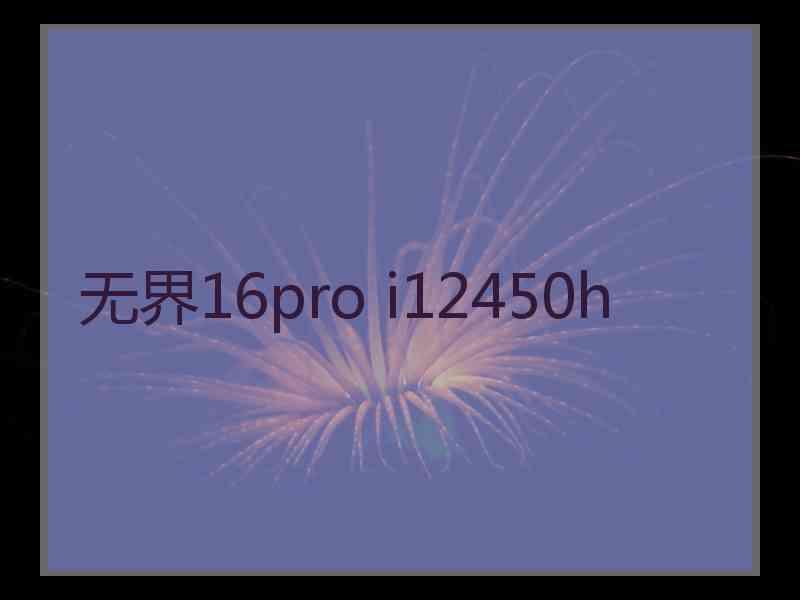 无界16pro i12450h