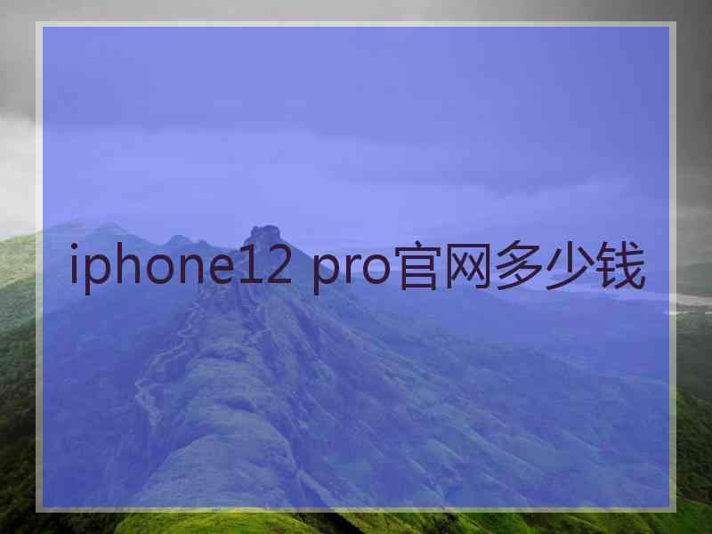 iphone12 pro官网多少钱