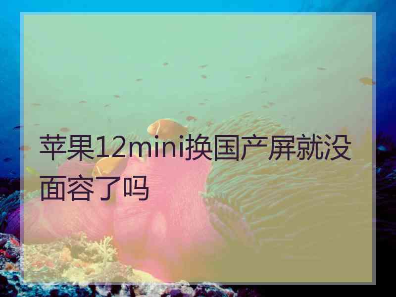 苹果12mini换国产屏就没面容了吗