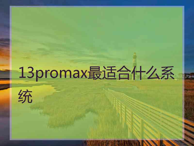 13promax最适合什么系统