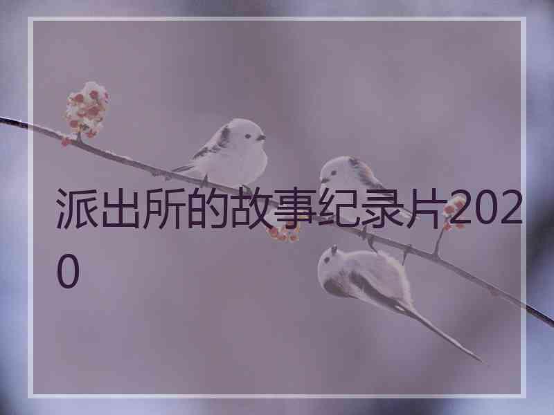 派出所的故事纪录片2020