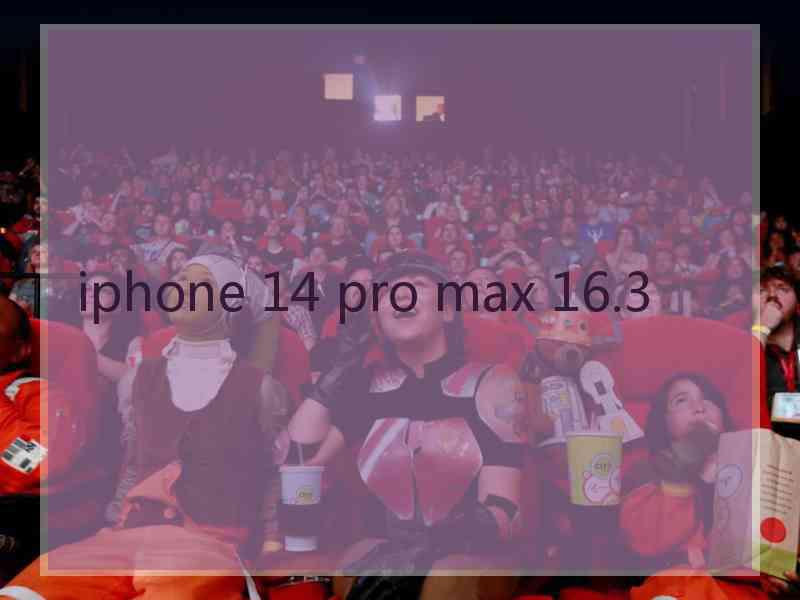 iphone 14 pro max 16.3