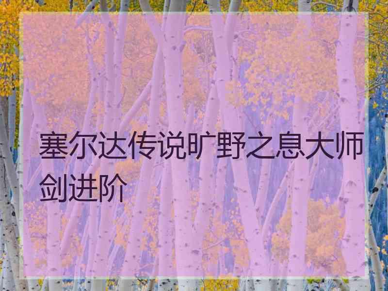 塞尔达传说旷野之息大师剑进阶