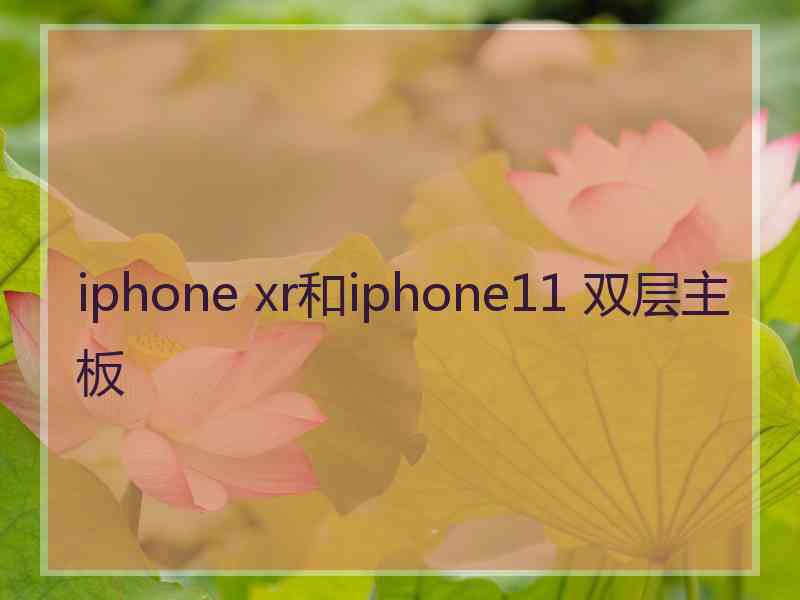 iphone xr和iphone11 双层主板