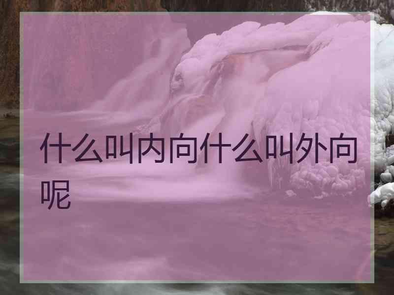 什么叫内向什么叫外向呢