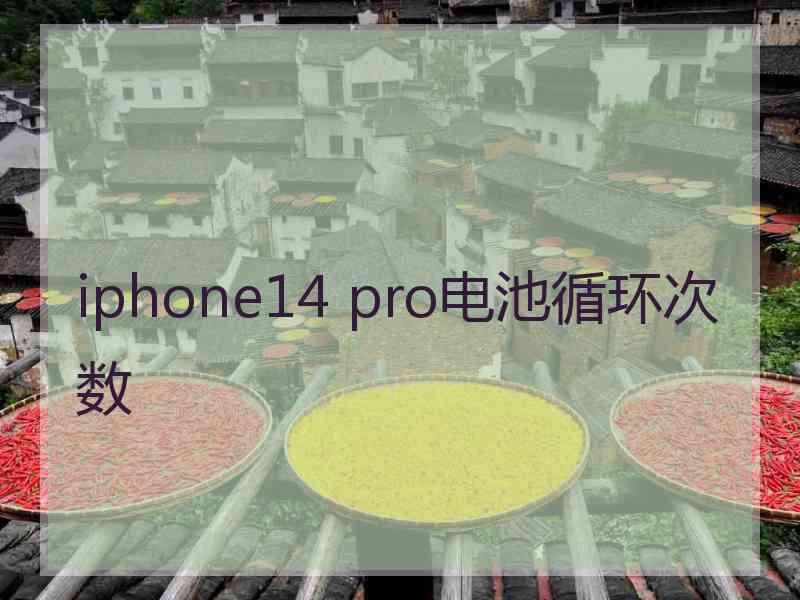 iphone14 pro电池循环次数