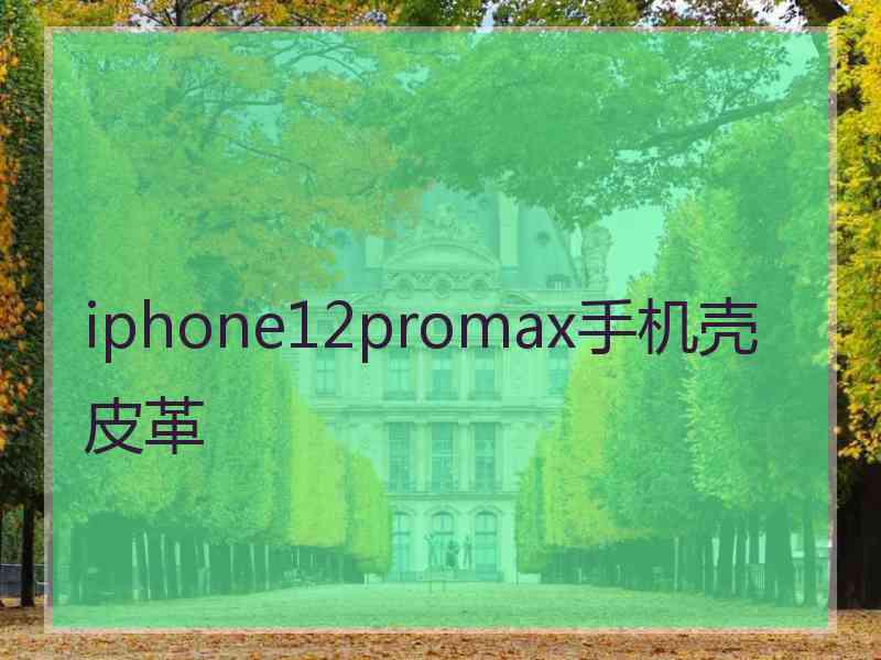 iphone12promax手机壳皮革