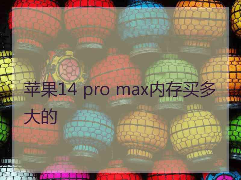 苹果14 pro max内存买多大的