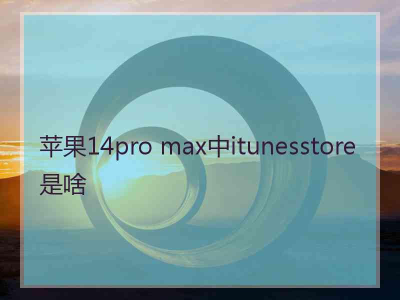 苹果14pro max中itunesstore是啥