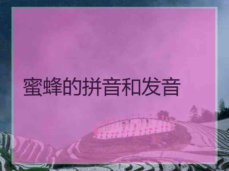 蜜蜂的拼音和发音