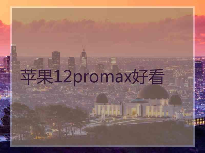 苹果12promax好看