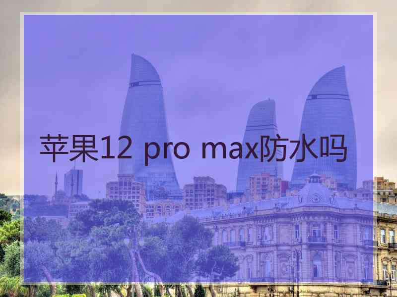 苹果12 pro max防水吗