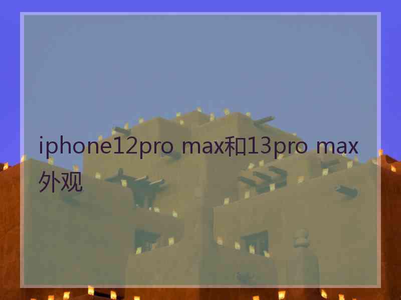 iphone12pro max和13pro max外观