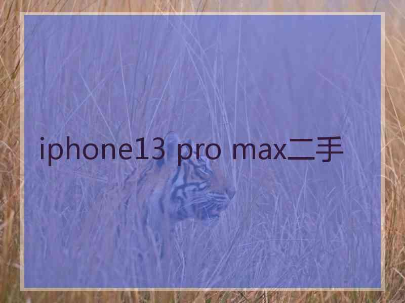 iphone13 pro max二手