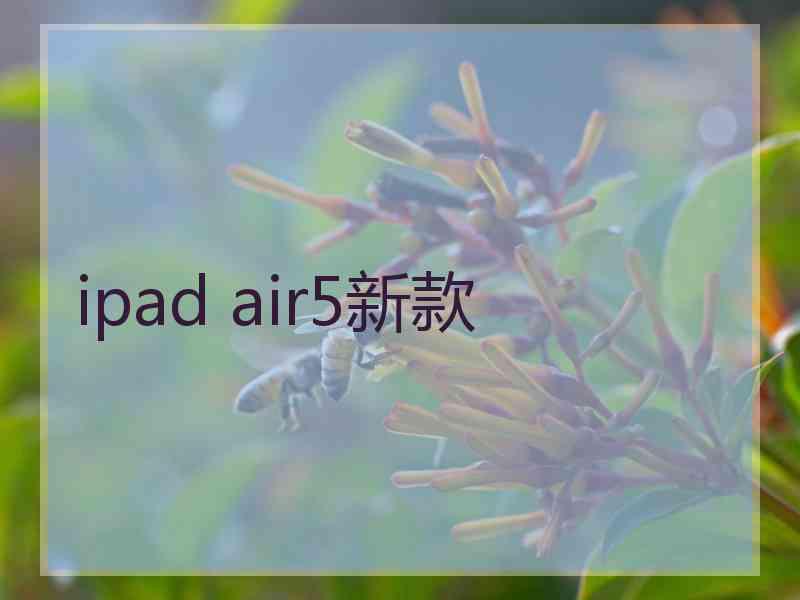 ipad air5新款