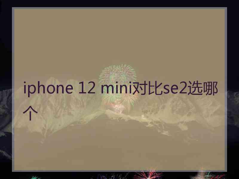 iphone 12 mini对比se2选哪个