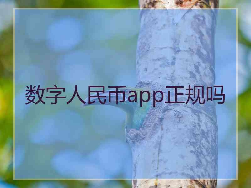 数字人民币app正规吗