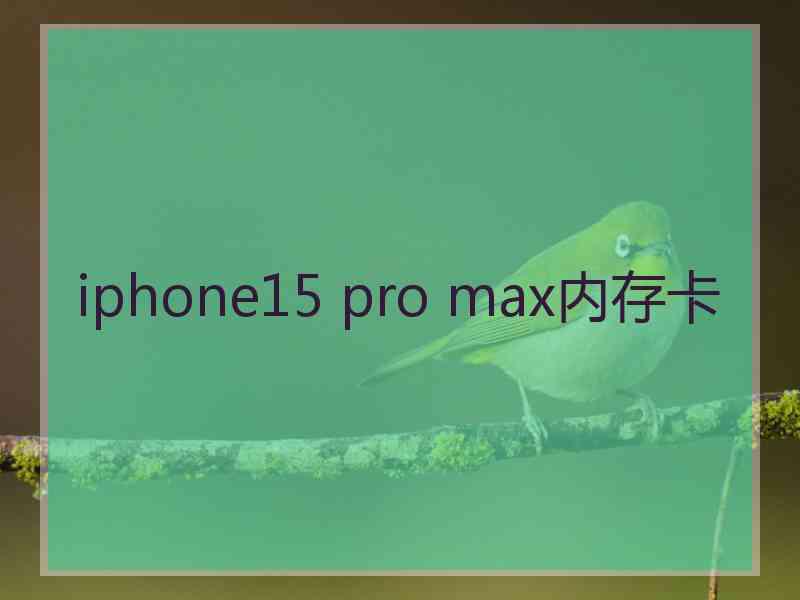 iphone15 pro max内存卡