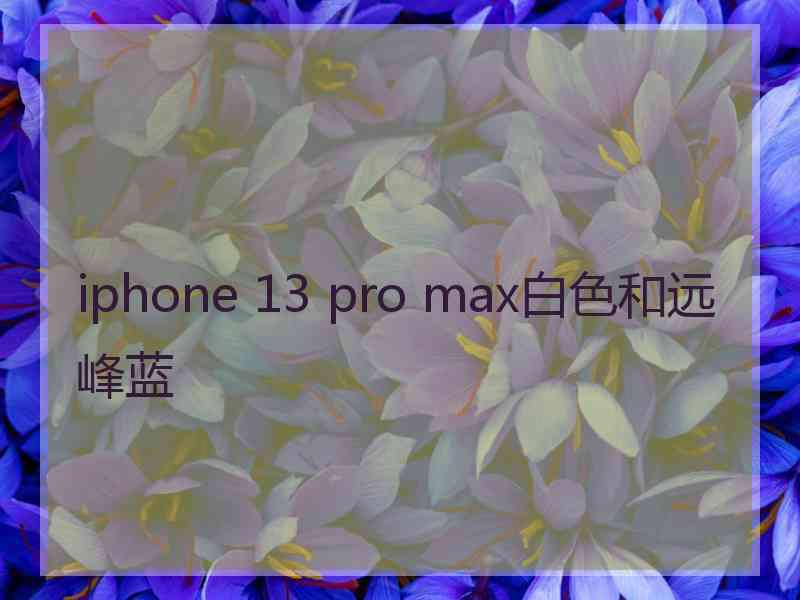 iphone 13 pro max白色和远峰蓝