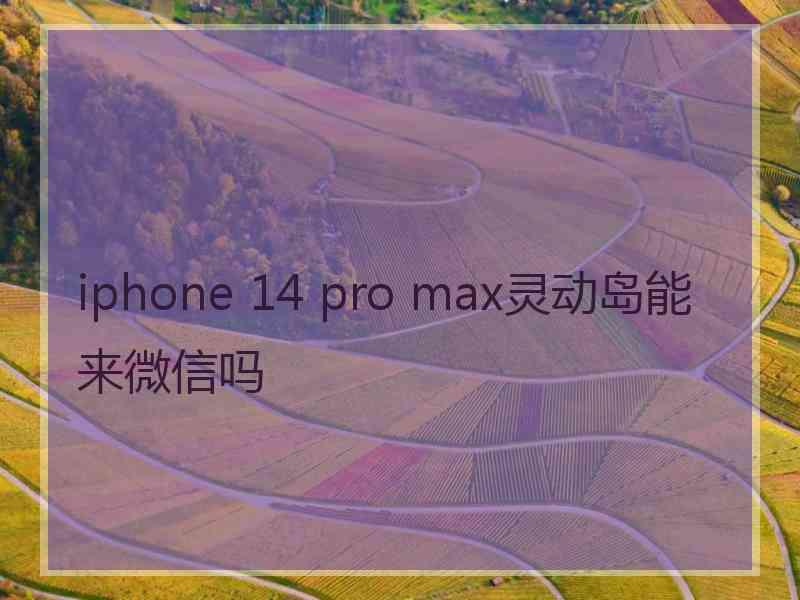 iphone 14 pro max灵动岛能来微信吗