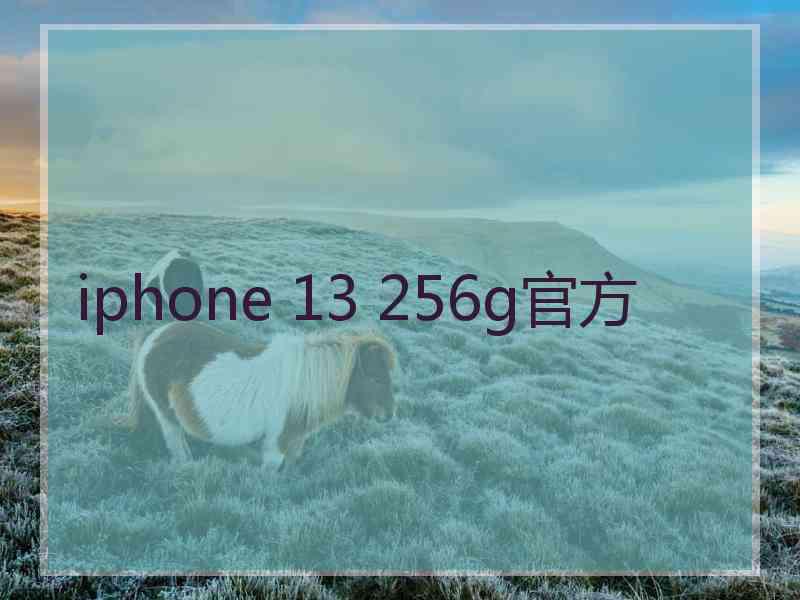 iphone 13 256g官方