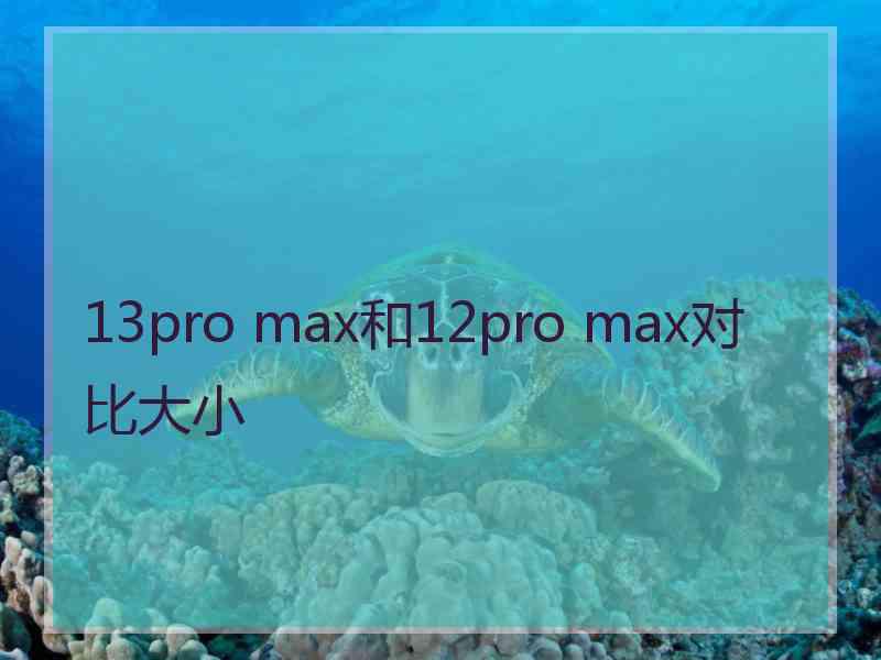 13pro max和12pro max对比大小