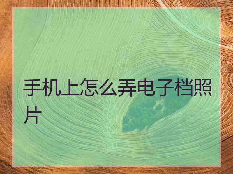 手机上怎么弄电子档照片