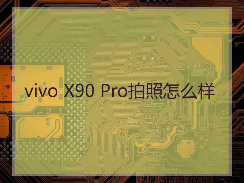 vivo X90 Pro拍照怎么样