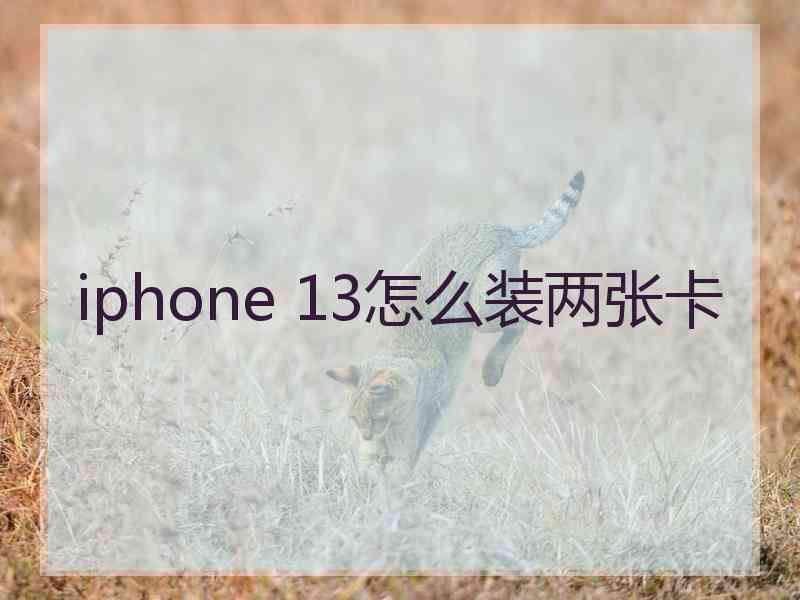 iphone 13怎么装两张卡