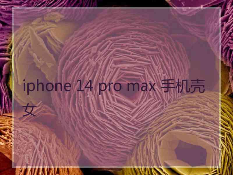 iphone 14 pro max 手机壳女