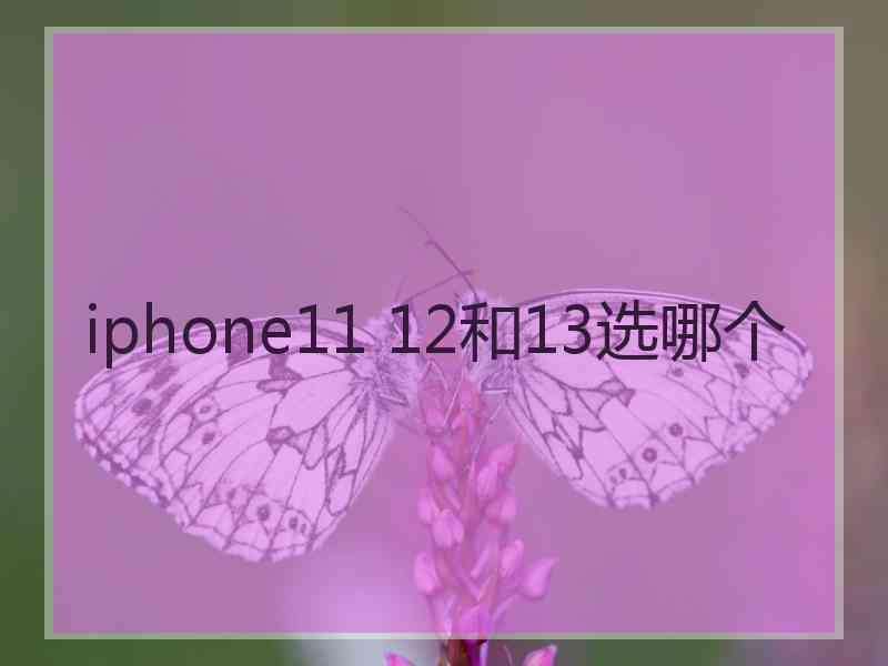 iphone11 12和13选哪个