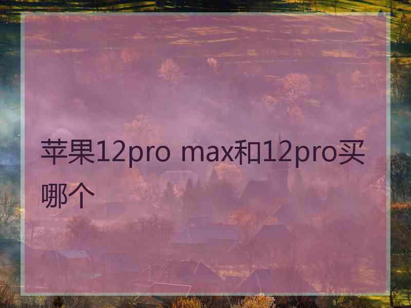 苹果12pro max和12pro买哪个