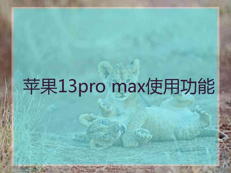 苹果13pro max使用功能