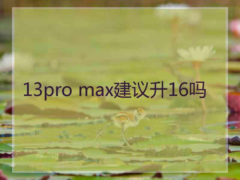 13pro max建议升16吗