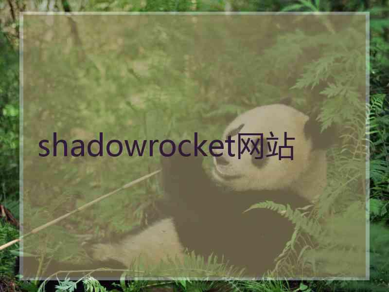 shadowrocket网站