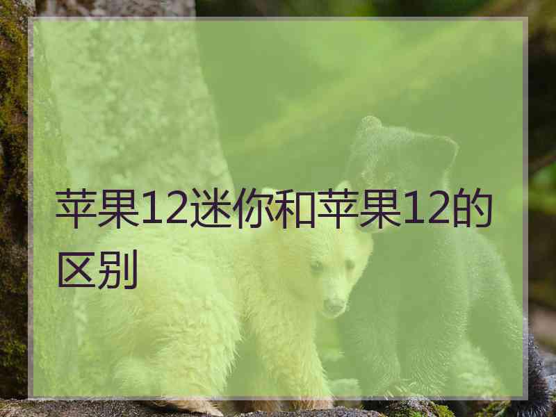 苹果12迷你和苹果12的区别