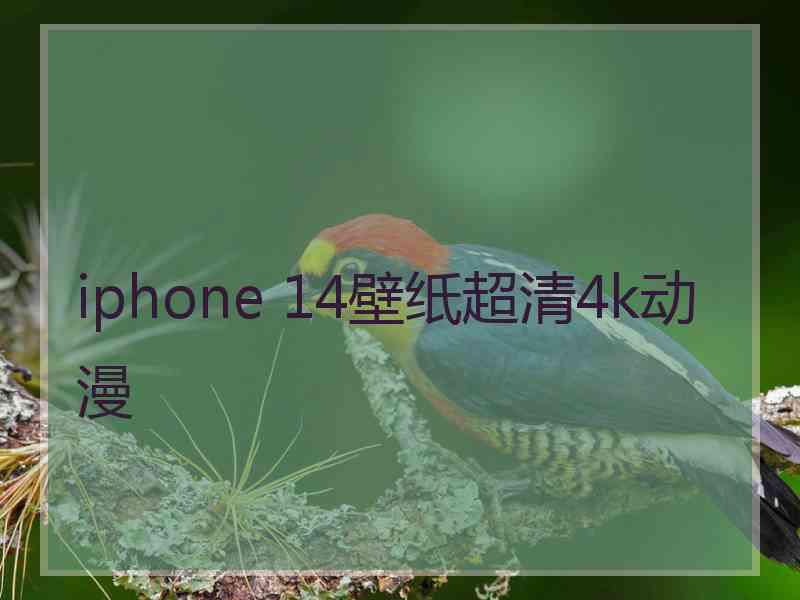 iphone 14壁纸超清4k动漫